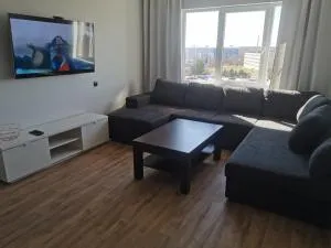 Lion Stay - Sarakuste