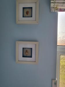 The Bluebell Guest House