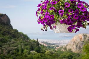 Archontiko Argyro Pelion Greece