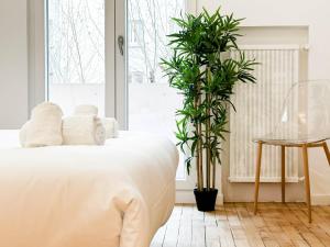 Marquis proche du centre ville