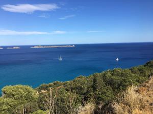 Villa Patrizia img18