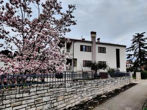 Apartments Vili
