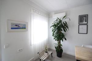Nice new apartment only 30min to Barcelona center.