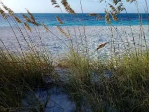 Private Guest House 2 bedrooms & 2 baths near Grace Bay Beach & Long Bay Beach. - Whitby