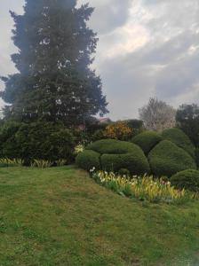 Andrea Airport Apartments