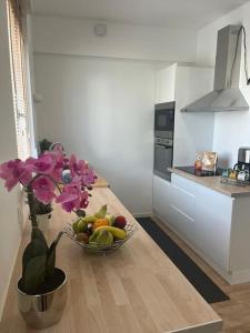 Maison des Larris - proche Aéroport - navette Gare