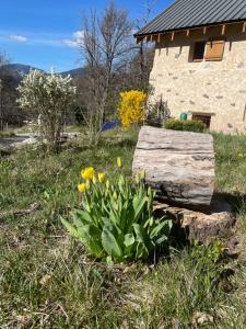 Chalets CHALET LA BOLLINE : photos des chambres