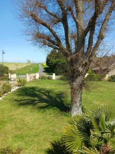 B&B / Chambres d'hotes VILLA TARA : photos des chambres
