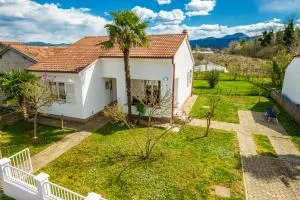 Guesthouse Four Rivers - فيسيسي