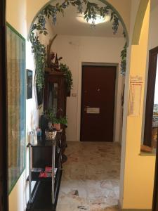 Catalan rooms