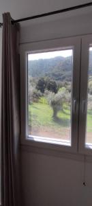 Evergreen Thassos