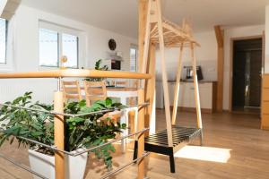 Apartmány Močovice