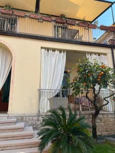 Suite con terraza