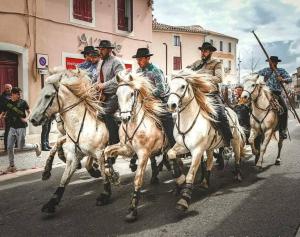 Appartements LE TOLOSANA - Appartement 4 personnes - Centre WiFi Cosy : photos des chambres