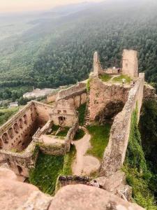 Appartements Un petit ecrin au coeur du vignoble alsacien : photos des chambres