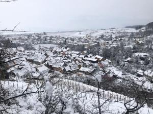Appartements Un petit ecrin au coeur du vignoble alsacien : photos des chambres