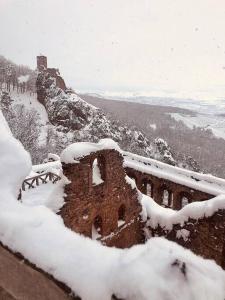 Appartements Un petit ecrin au coeur du vignoble alsacien : photos des chambres