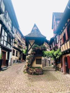 Appartements Un petit ecrin au coeur du vignoble alsacien : photos des chambres