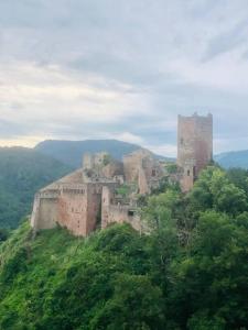 Appartements Un petit ecrin au coeur du vignoble alsacien : photos des chambres