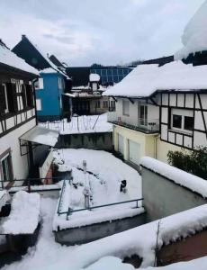 Appartements Un petit ecrin au coeur du vignoble alsacien : photos des chambres