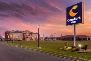 Comfort Inn US Hwy 80 - Eutaw