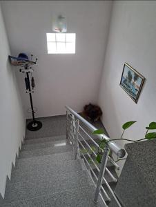 Beautiful duplex apartment with view