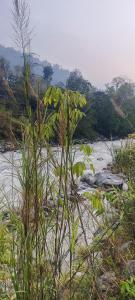 Drishtee Homestay