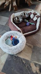 Appartements Ailleurs Land : photos des chambres