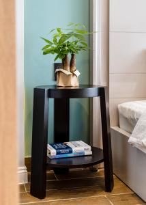 Chilli and Chum Apartment