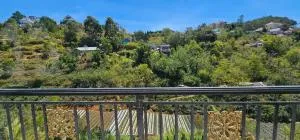 The New House - 洛伊城