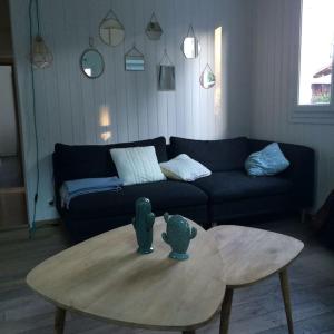 Villas Maison cabane proche ocean/bassin !!! : photos des chambres