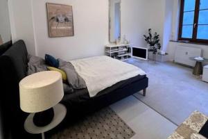 Exclusive apartement in historic center