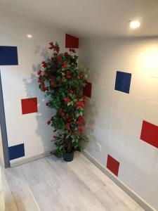 B&B / Chambres d'hotes Marseille bleue : photos des chambres