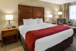 Comfort Inn Colville
