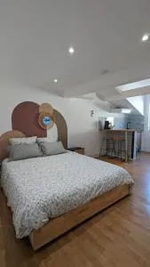 2e Grand Studio Agen Hyper Centre - Clim - Jacobins - Le Passage