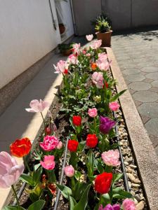 Apartment Ana, free garage parking