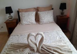 Villa avec plage à pied et grande piscine