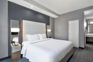 Suite, 1 King room in Courtyard by Marriott Nashville Green Hills