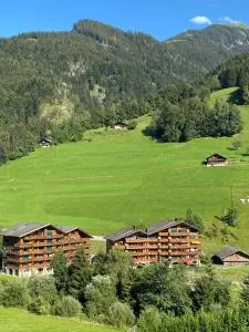 Val D’Illiez mountain apartment. - Collombey