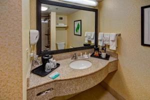 Executive King Suite room in Fairfield Inn & Suites by Marriott Murfreesboro