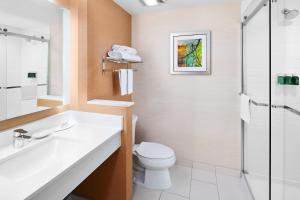 Executive King Suite with Sofa Bed room in Fairfield Inn & Suites by Marriott Fresno Yosemite International Airport