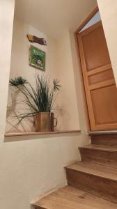 Appartements Appartement Victoria : photos des chambres