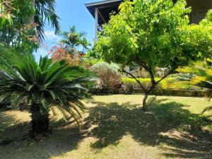 Sunbreeze Ocho Rios - A spacious, homely apartment