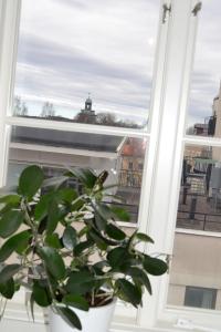 Lilla Hotellet Bed & Breakfast i Alingsås