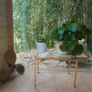 Chalets L'Ecluse : photos des chambres