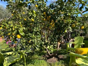 Hotels Hotel Punta e Mare des Chambres ou des Appartements T2 : photos des chambres