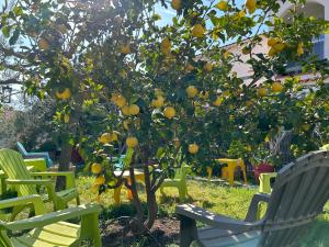 Hotels Hotel Punta e Mare des Chambres ou des Appartements T2 : photos des chambres