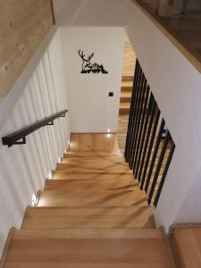 Apartament SKORUSINKA w pobliżu Chochołowskich Term