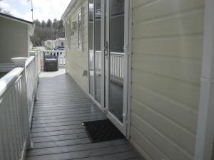 Violet 28 Oakdene Forest Park