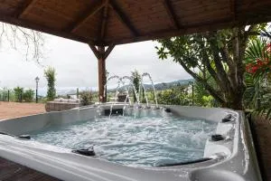 Ecofinca Selva Doramas - Pico de Viento